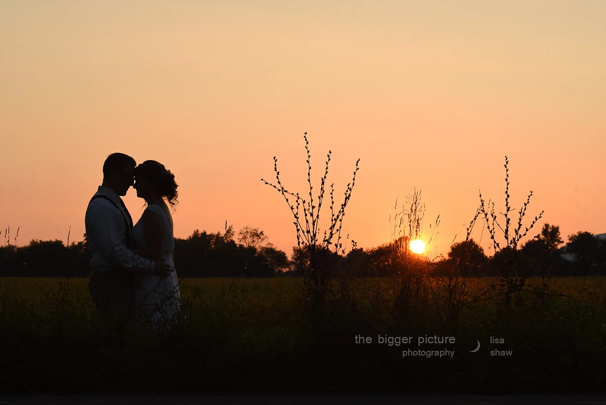 Michigan Wedding photography lisa shaw