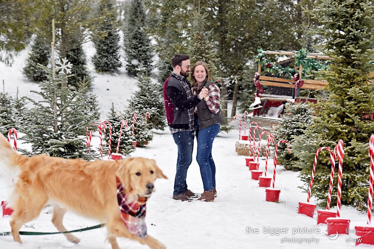 Lenderink Tree Farm Belmont MI 