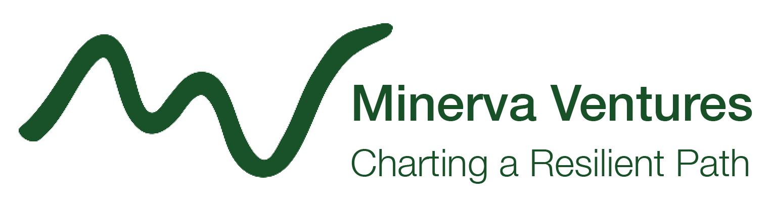 Minerva Ventures, B-LLC