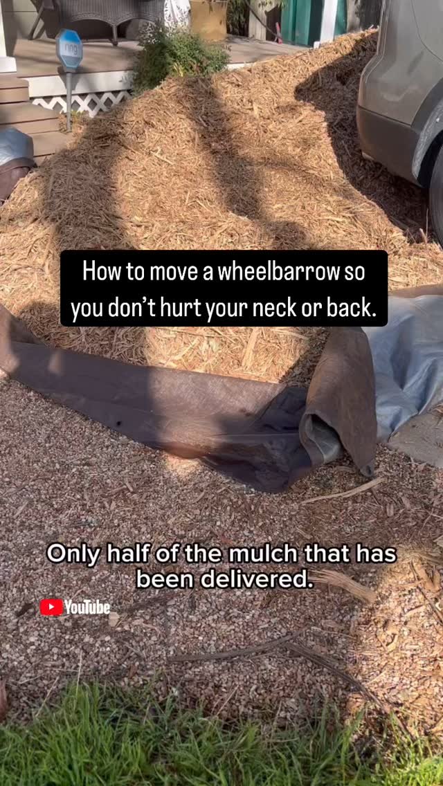 It was a mulch mountain over here 🪵⛰️ — and guess who moved it? Me, my kids, and husband.
Before we dug in, I’m thought about ALL the ways yard work can sneakily mess with your body — especially your neck, back, and even jaw. 😬 Ye