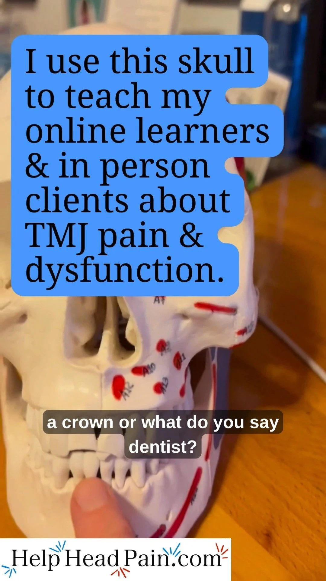 Meet Maggie—my trusty teaching skull! ðĶī She helps me explain to in-person clients and online learners exactly what’s going on with their jaw and head pain. Her name comes from the Latin word for teacher, magister, and was inspired by my