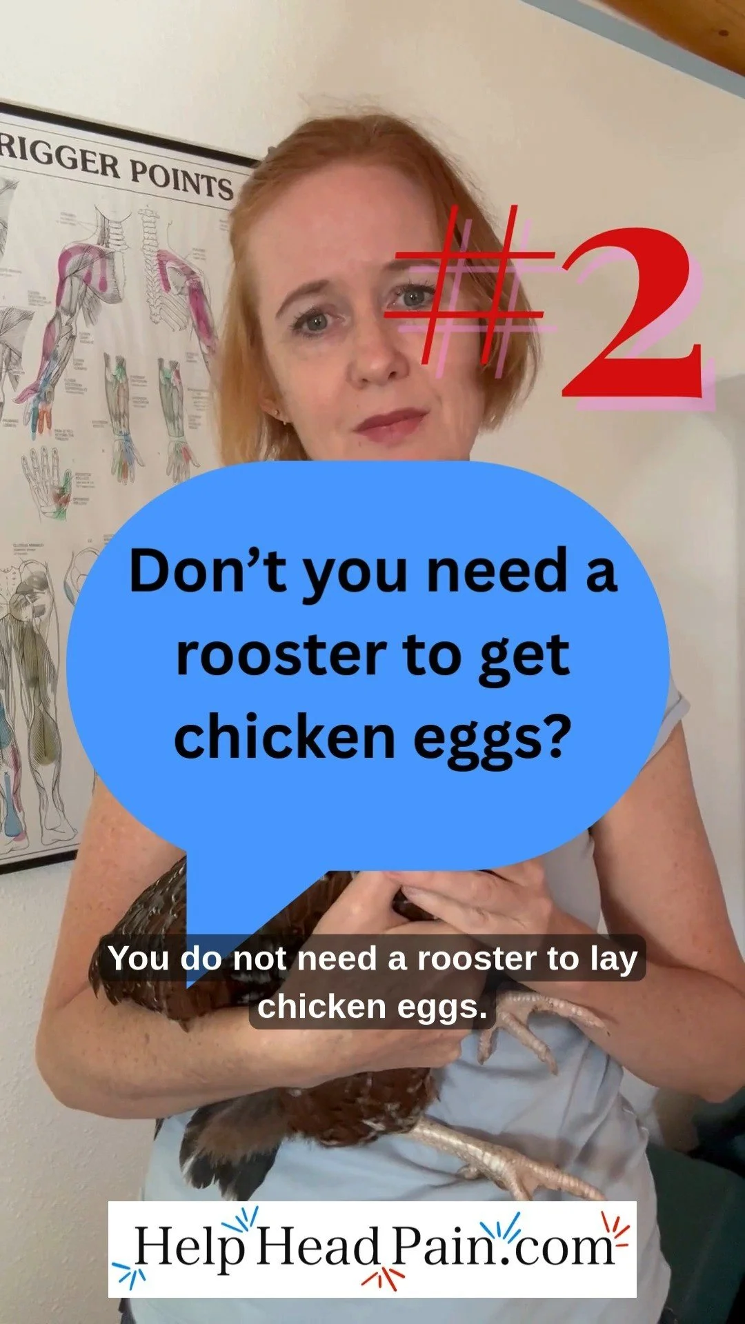 Slide 2