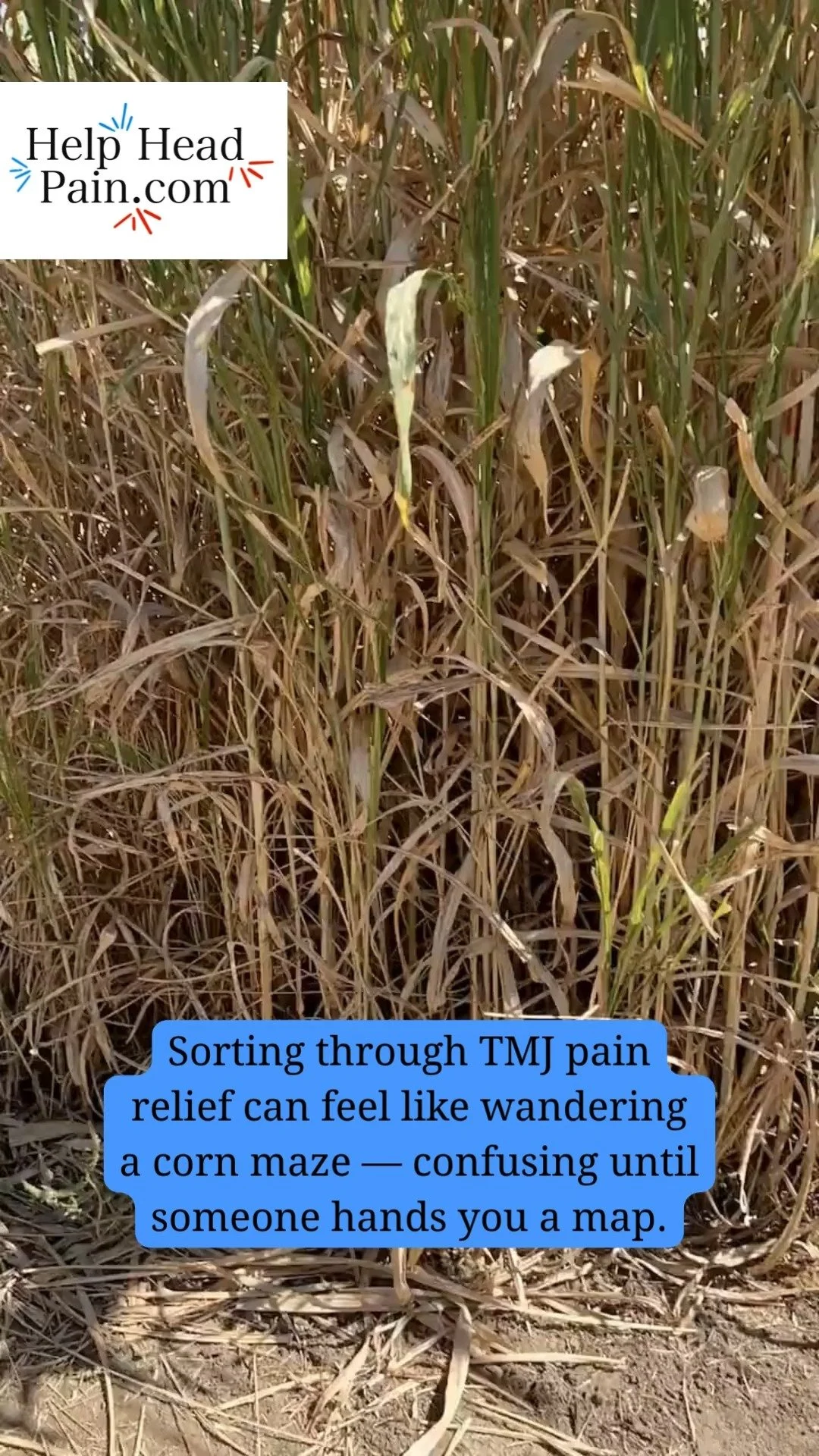 Sorting through TMJ and headache relief can feel like a 🌽 maze — so many symptoms, so much conflicting advice, and no clear direction.
That’s where I come in.
I teach you how to address the muscular 😮 side of your head, neck, and jaw p