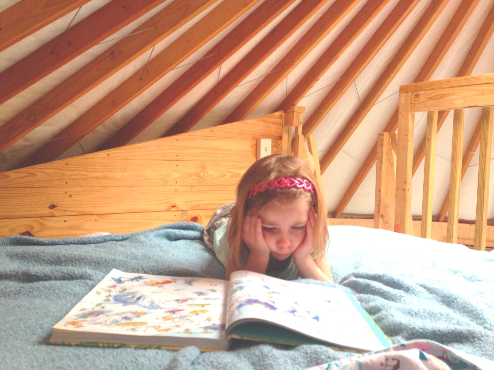 Firefly intent upon her favorite book (pictured below).