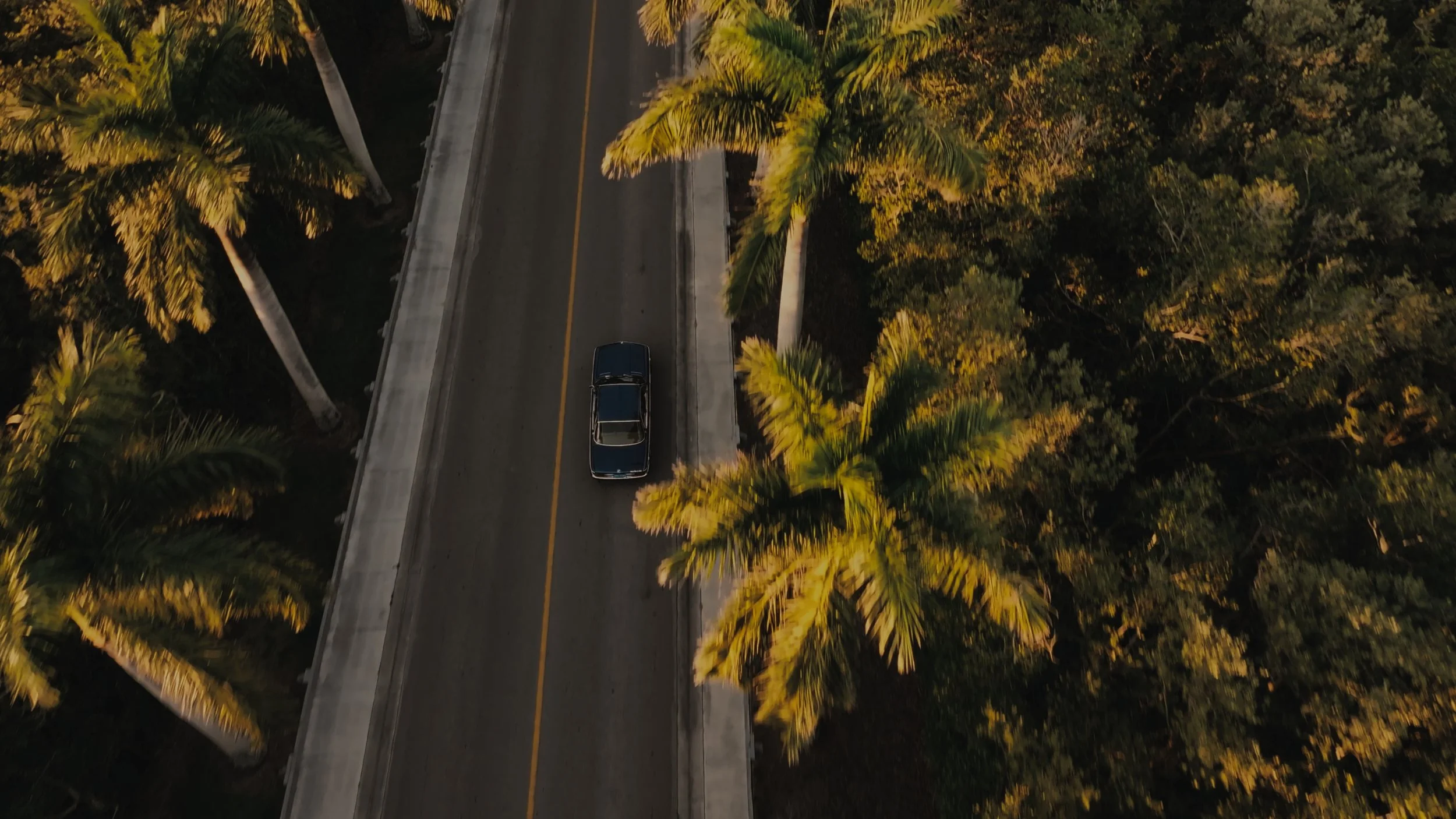Comeback Kid Color Turnover.mov_1.82.1.jpg