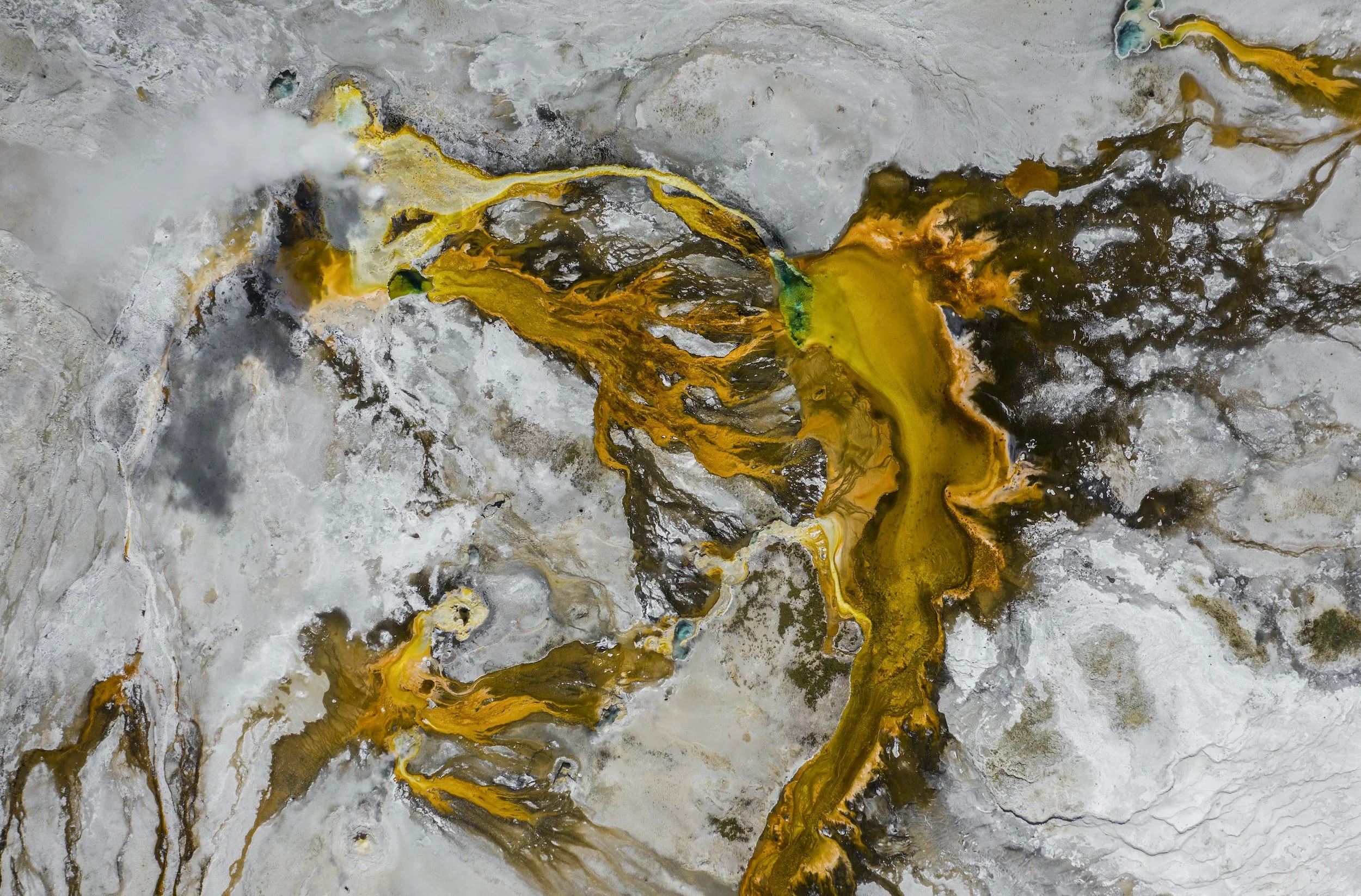 Unique Magnesium Found to Reverse Brain Aging