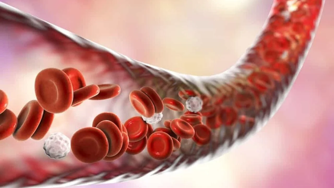 Nattokinase Cardiovascular Benefits