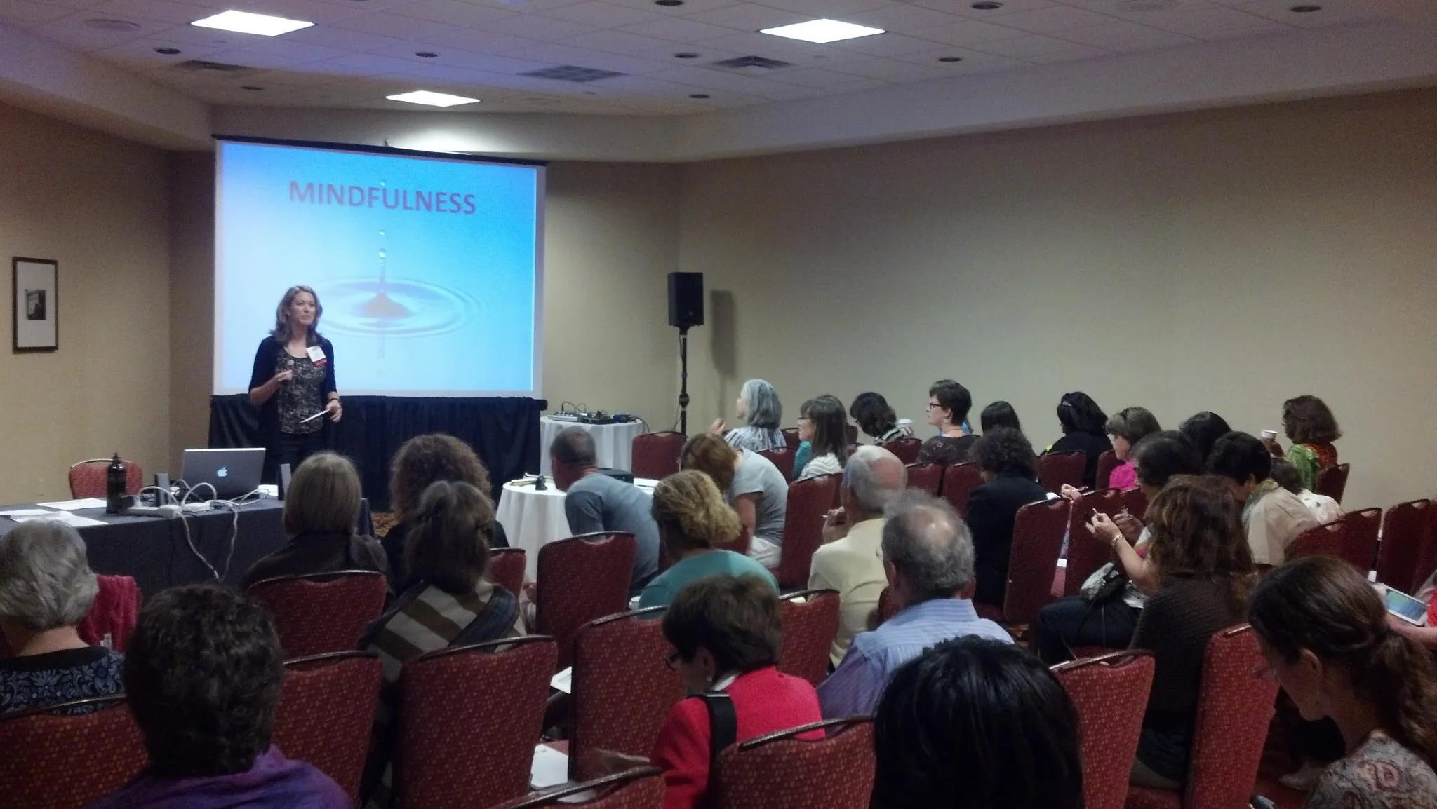 Mindfulness Speaker at AASECT Conference