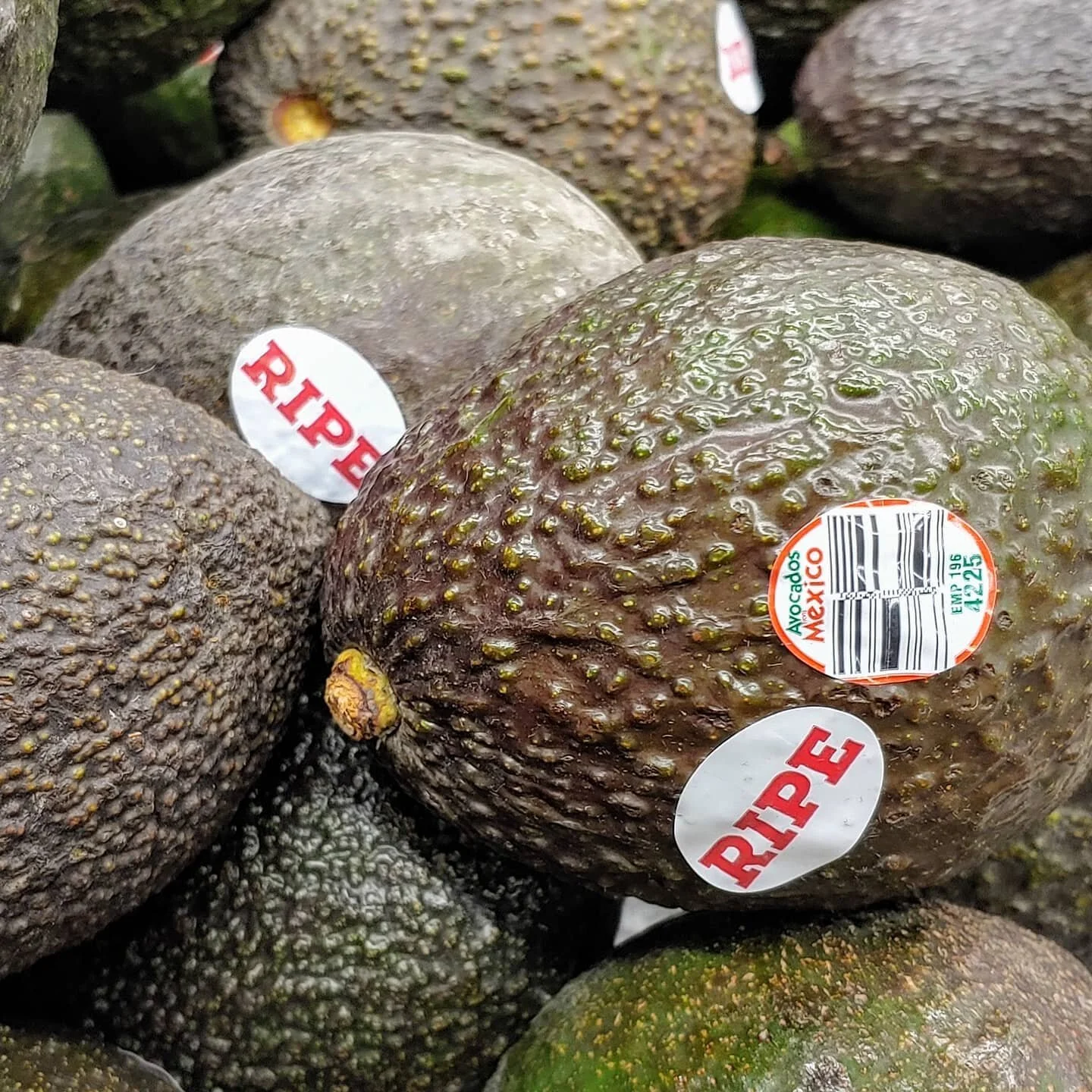 Feeling pretty ripe myself, after 6 months of covid times.
I think it would be helpful if we could wear stickers/signs like this depending on our moods and wants/desires....like "prickly," "not horny," "cuddly," "lonely," or "curious." 
#communicateeffectively #moodswings #desires #connection