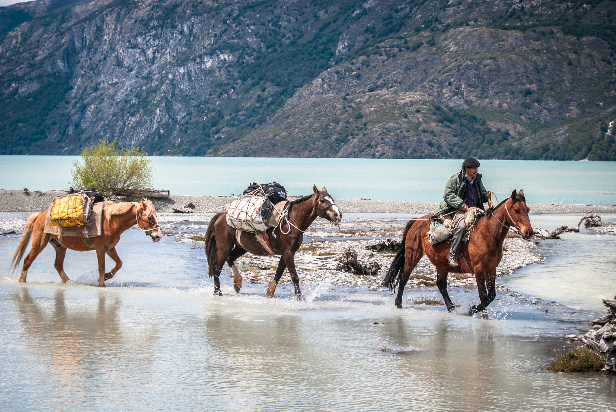 don lucho packhorses crossing rio chilco.jpg