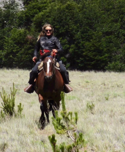 Nancy Pfieffer , Wilderness Guide Nancy is a wilderness guide for our horse riding trips. As a lifelong adventurer, wilderness guide, and outdoor educator, Nancy has traveled from Antarctica to the Arctic Ocean. Nancy's life as a climbing guide has given her the opportunity to experience the world’s highest summits. In 1999, she took off across Patagonia alone on horseback. Over the next two decades and three thousand kilometers of rugged horse trail, the hospitable people of Patagonia embraced her. They taught her what she needed to know, and Patagonia slipped silently into her soul. She recently published a book, Riding Into the Heart of Patagonia that was released May of 2018. When she is not in Patagonia, she lives in a cabin outside Palmer, Alaska, where she enjoys the luxuries of hauling water, chopping wood, and high-speed Internet.
