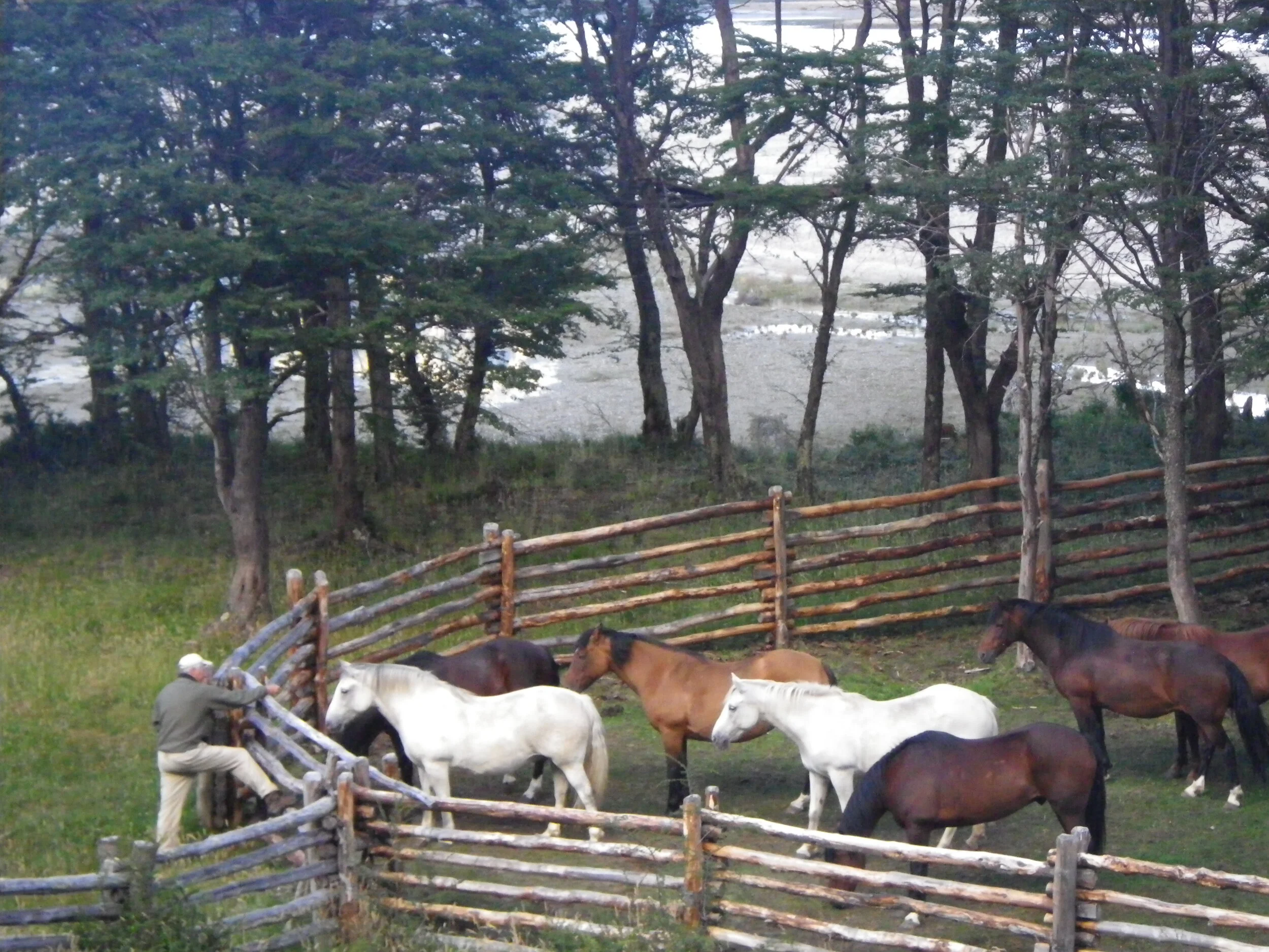 Dispatch: Neighbors living in community