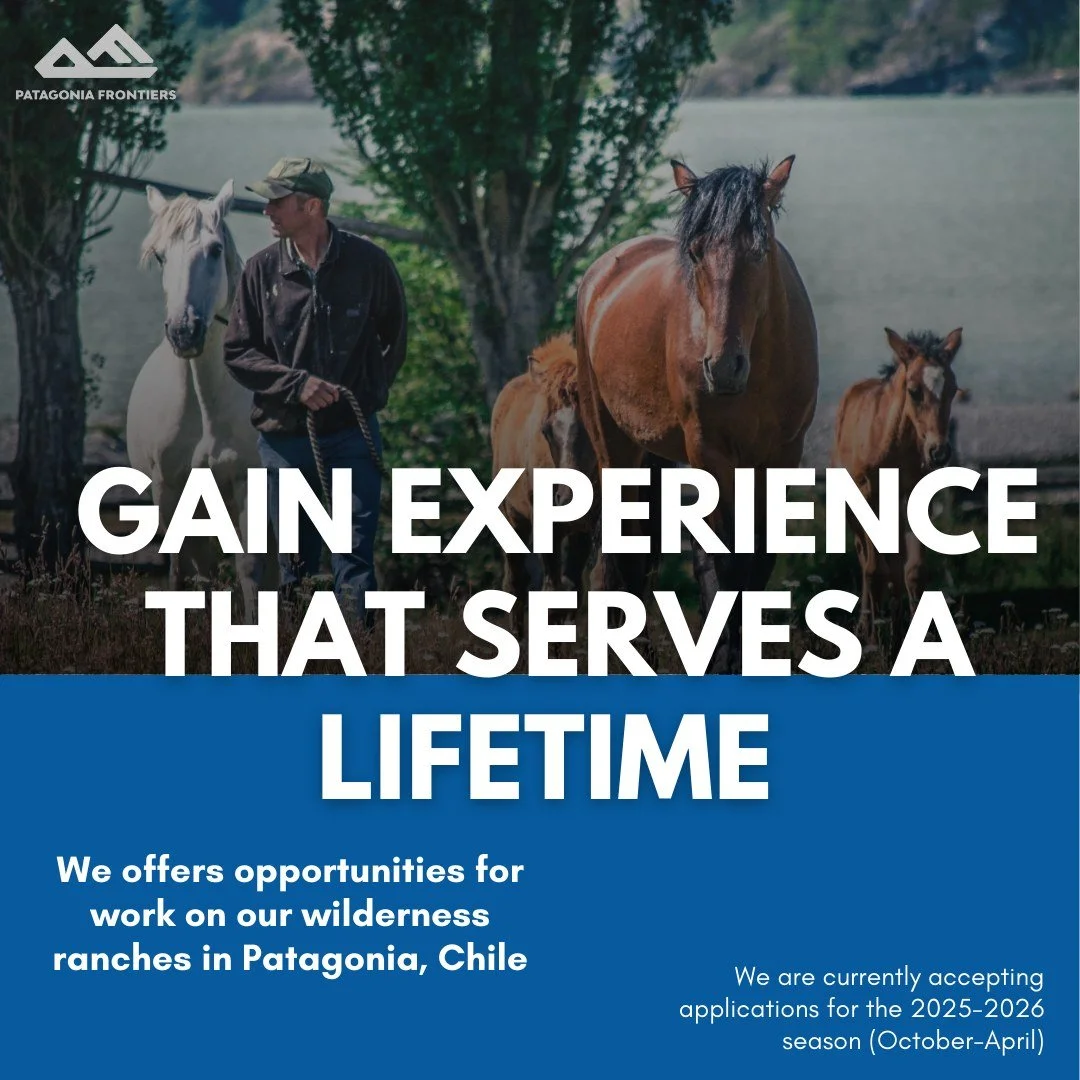This is a fantastic opportunity for those with an appetite for adventure!
Ven, &uacute;nete a nuestro equipo en Patagonia Frontiers y se parte de esta comunidad.
Estamos recibiendo aplicaciones para esta temporada 2025 - 2026 Octubre - Abril.

Toda l