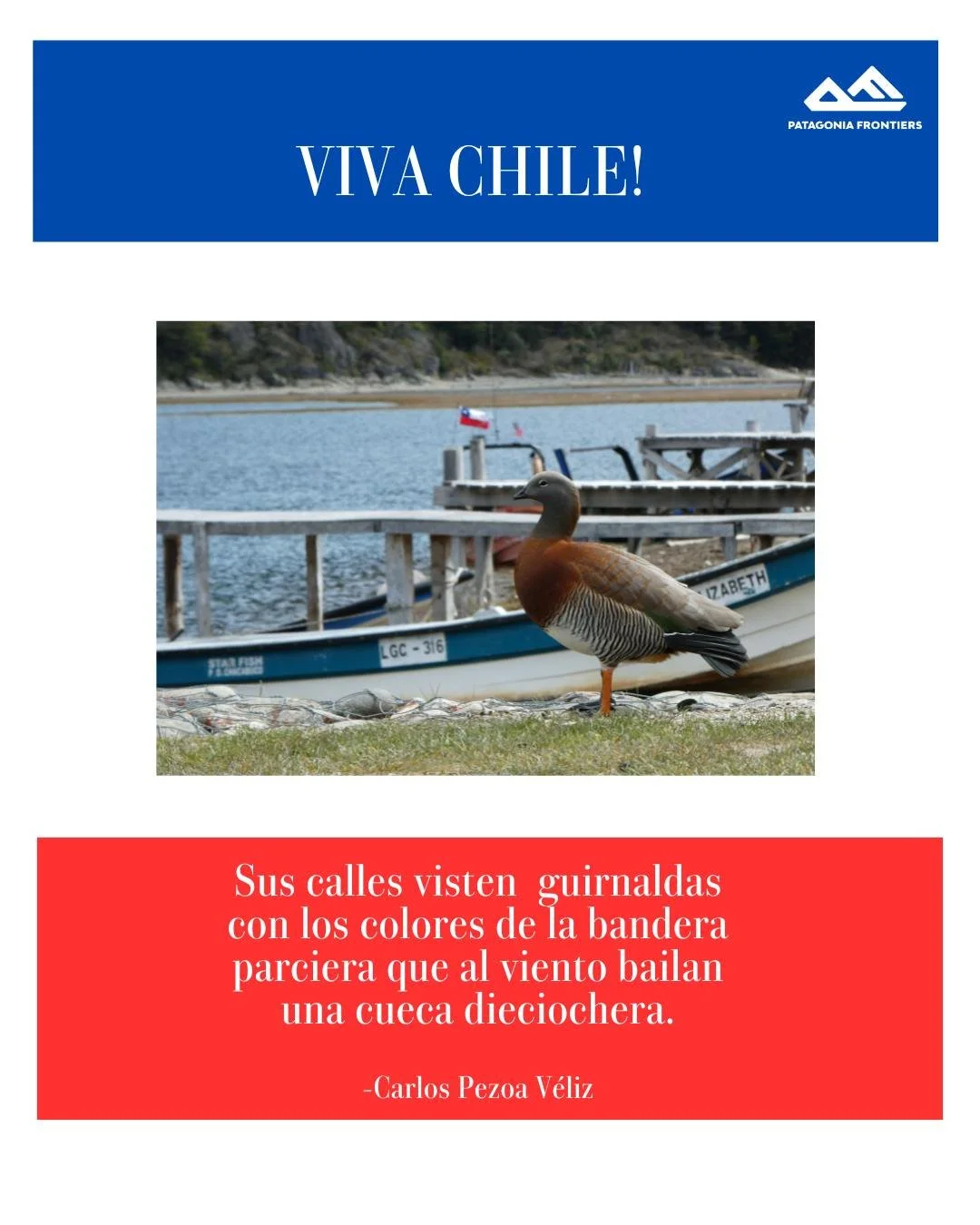 Todos a la fonda a bailar cueca, comer empanadas y cantar hasta que empiece el otro d&iacute;a 🇨🇱

Felices Fiestas Patrias les deseamos desde la hermosa Patagonia Chilena 🏔🐴

#patagonia #diadechile #fiestaspatriaschile #eldieciocho #fonda #cueca 