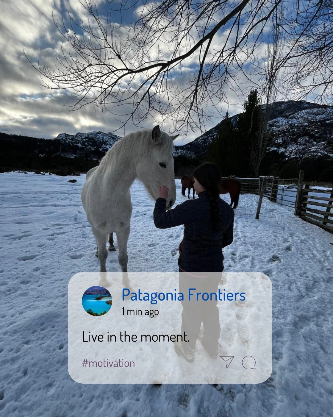 El invierno en el Rancho 🐴

Viviendo el momento
Viviendo el presente
Disfrutando de cada momento
ESO ES LO QUE SOMOS
Eso es lo que te damos

Ven, acomp&aacute;&ntilde;anos en este maravilloso lugar de la Patagonia Chilena.

#wildernessinchile #chile