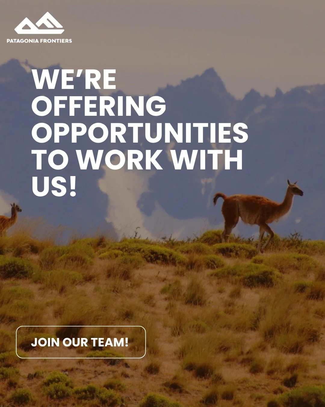 Ready to live boldly?
This isn&rsquo;t your average job &mdash; it&rsquo;s a call to the wild.

Join us deep in remote Patagonia for some unforgettable months of purpose, challenge and connection.

⛺ Tent-camp under the stars
🌦️ Work outdoors in all
