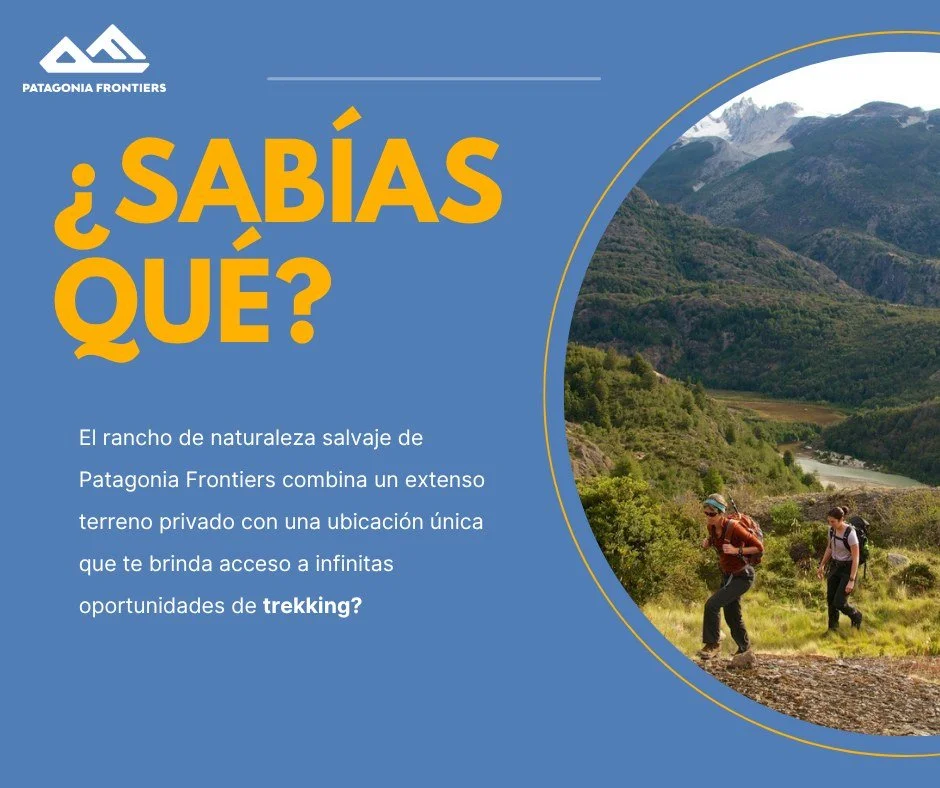&iquest;Listo para una aventura en la Patagonia?
Nuestros programas de supported trekking combinan rutas inolvidables con el apoyo de caballos de carga, acceso exclusivo a glaciares y monta&ntilde;as, y noches bajo las estrellas o de vuelta en cama c