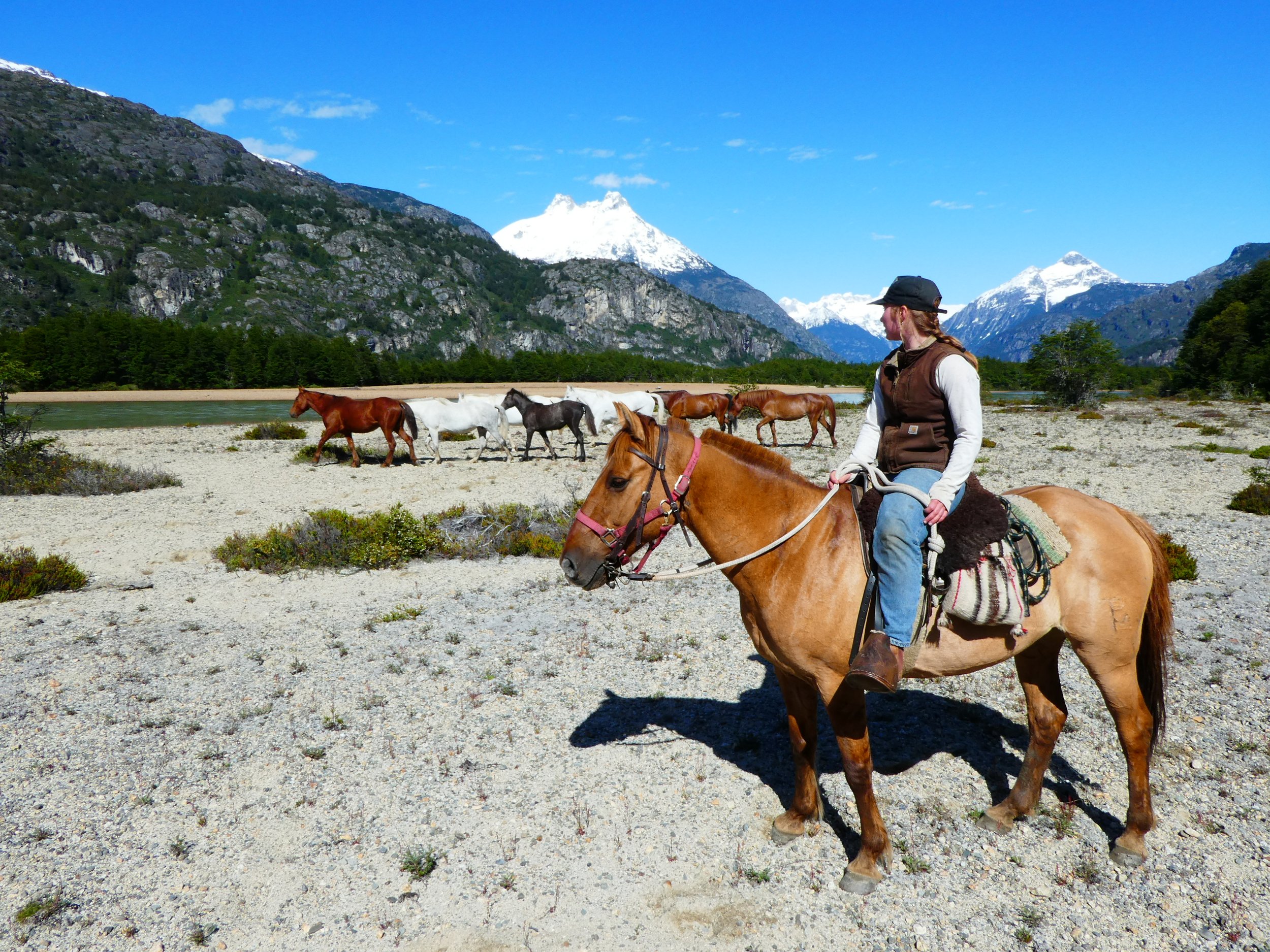 Horse trekking in Chilean Patagonia
