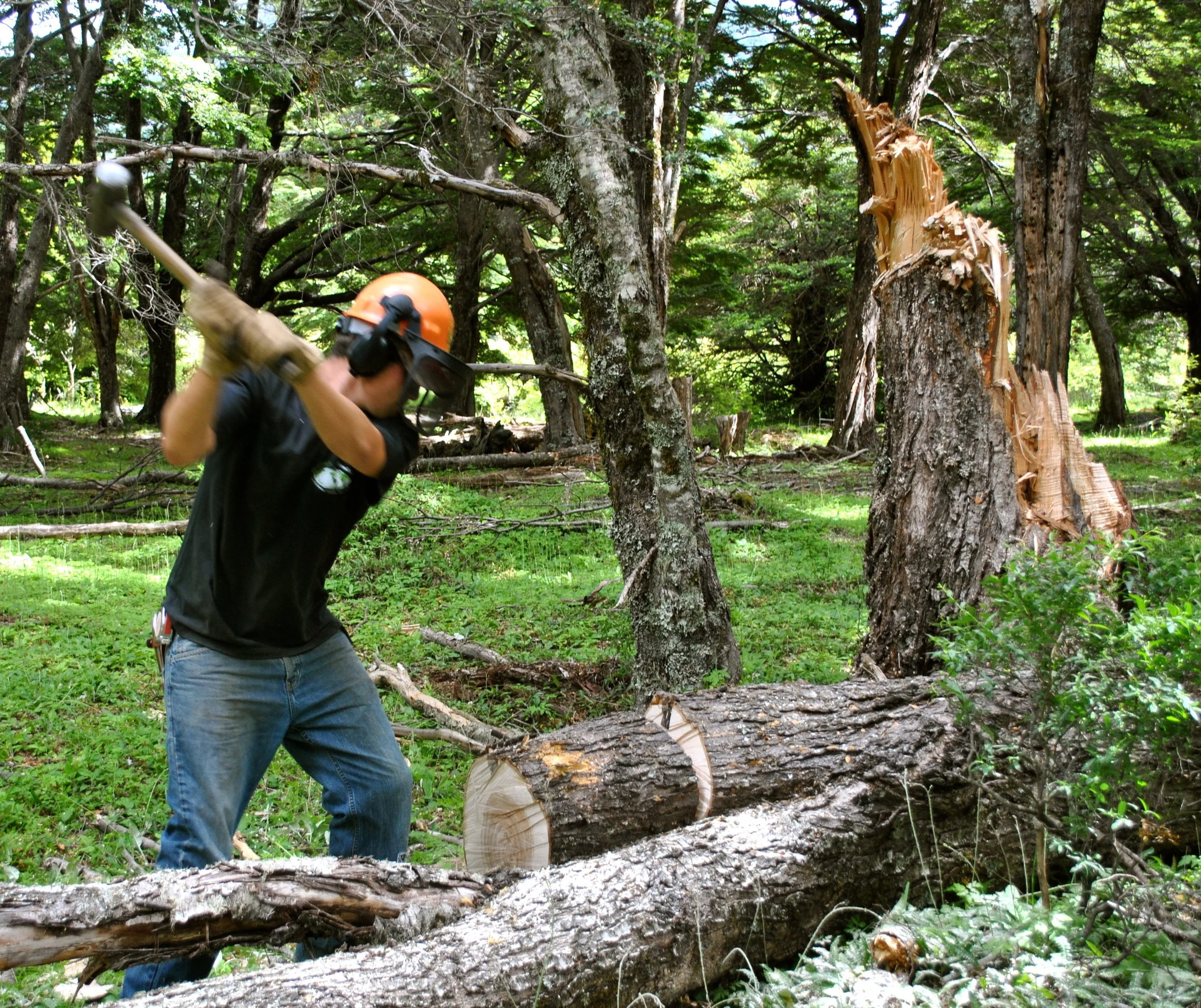 Conservation crew jobs in Patagonia