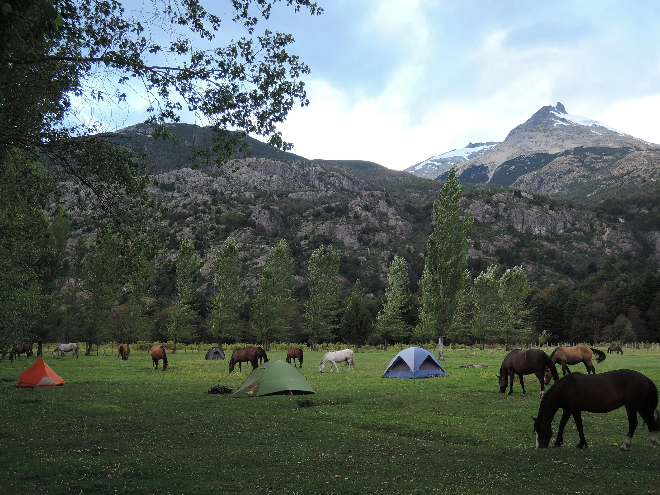 Work for stay on ranch in Chilean Patagonia