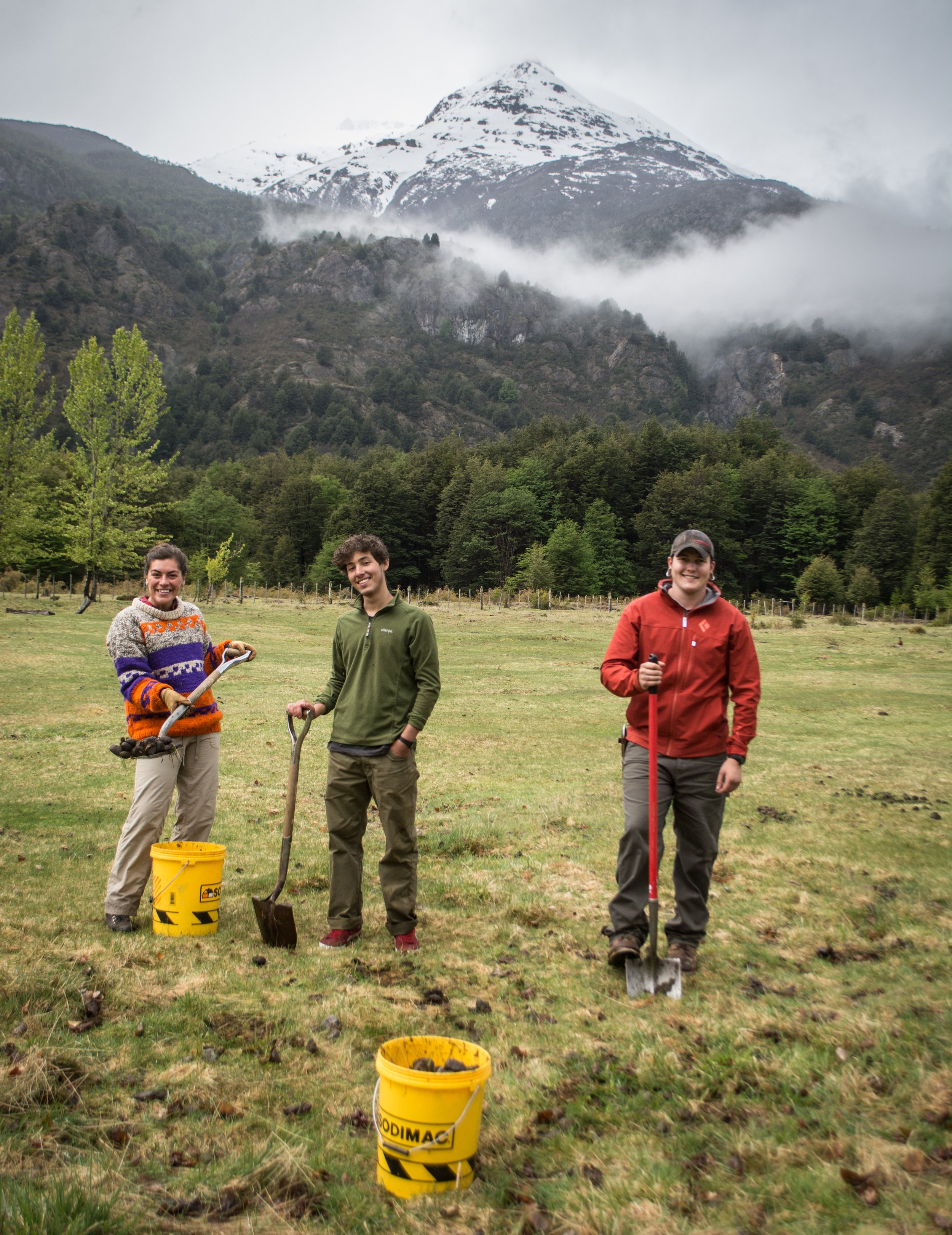 Conservation and education jobs in Patagonia