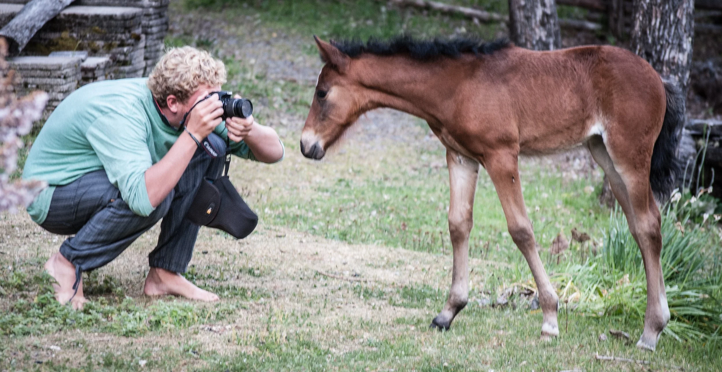 Horse wrangler jobs in Chilean Patagonia