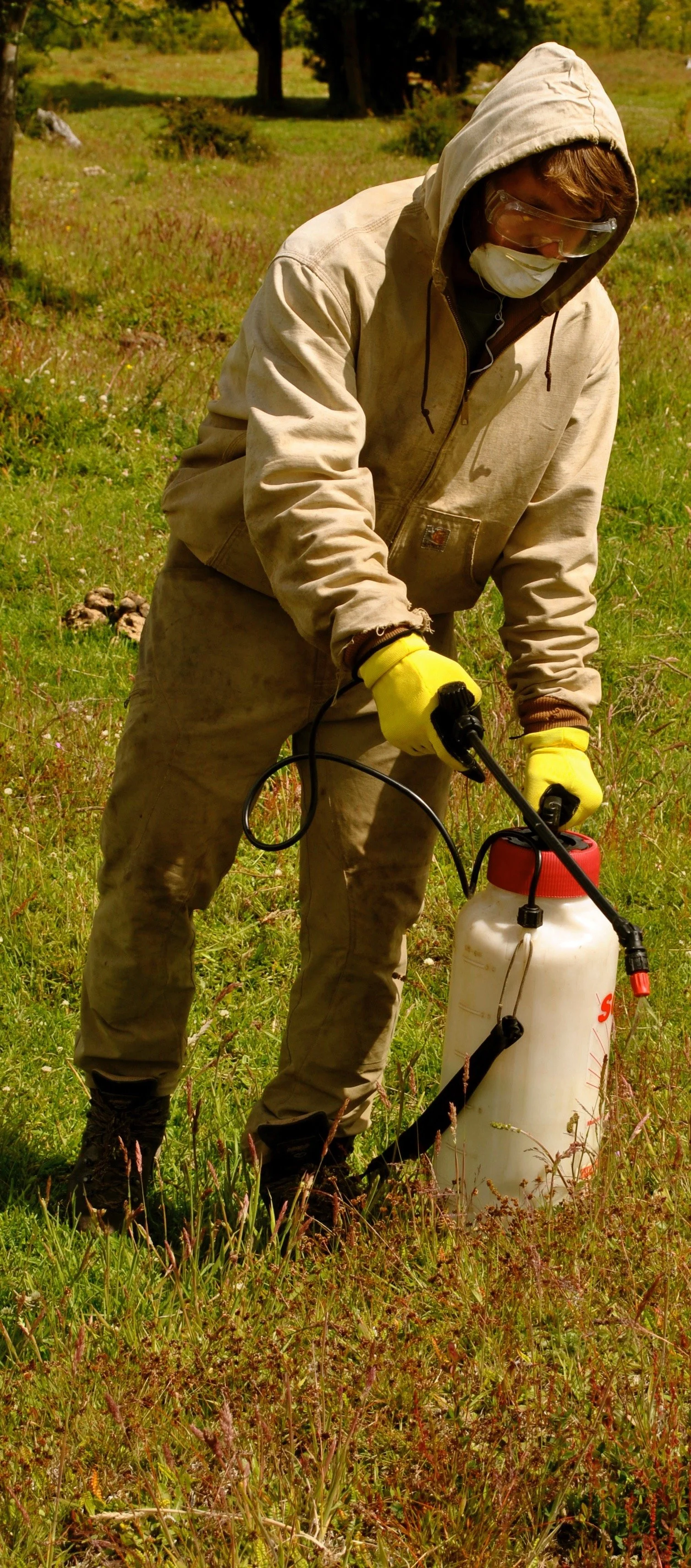 Conservation job opportunities in Chile