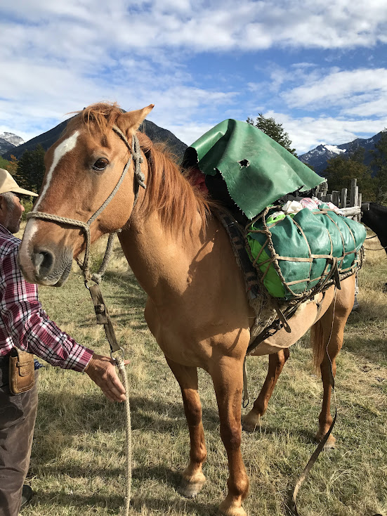 Americo stands patiently as Don Moncho packs for a trip home from El Claro