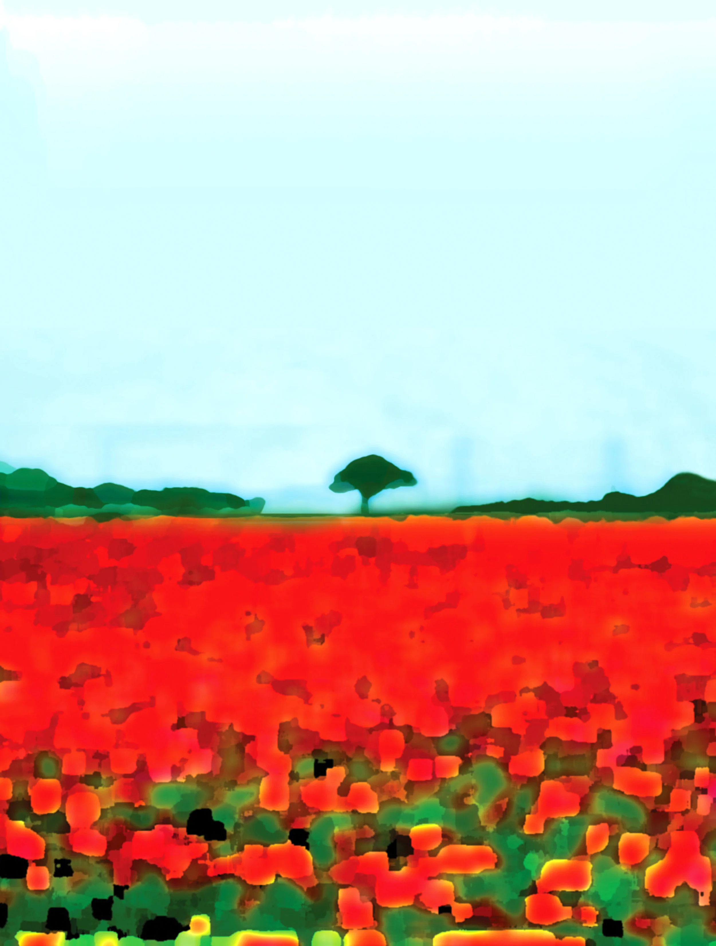 Abi Fawcus, Poppy Field at Blaxhall, Photographic, 60x77cm-cmyk.jpg