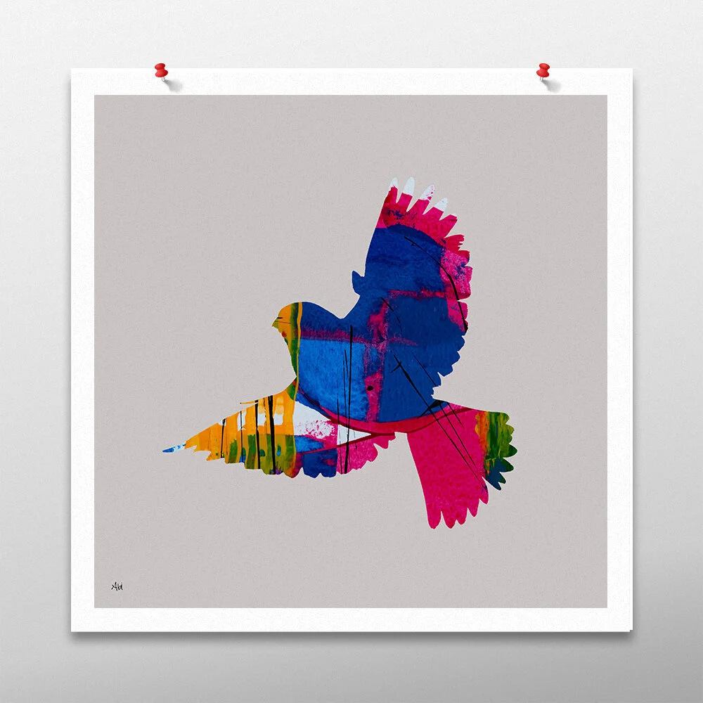 Turtle Dove Art Print for Sale