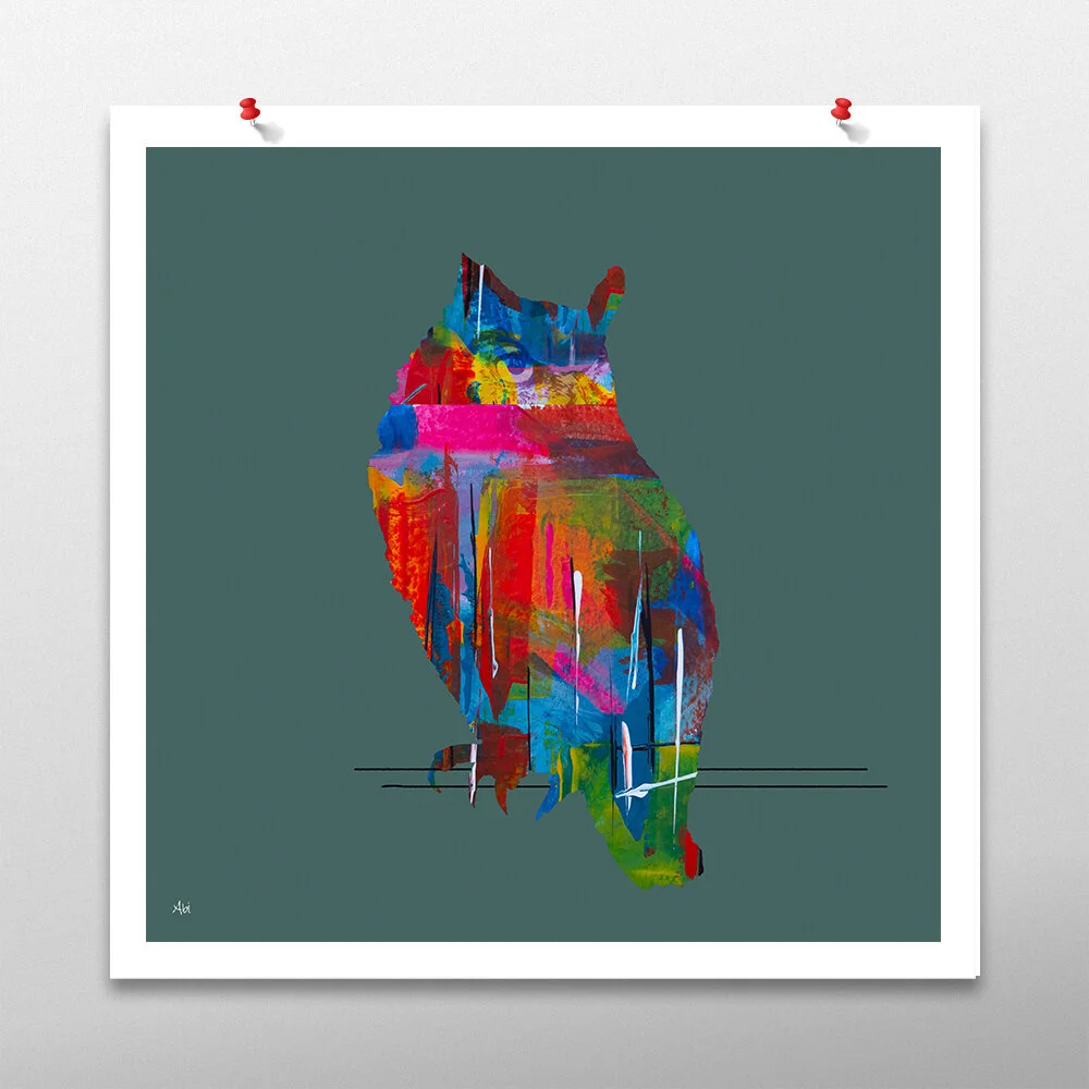 owl-square.jpg