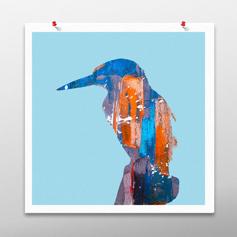 Kingfisher Art Print for Sale