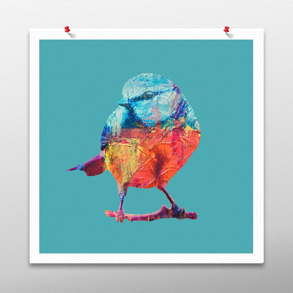bluetit-square.jpg
