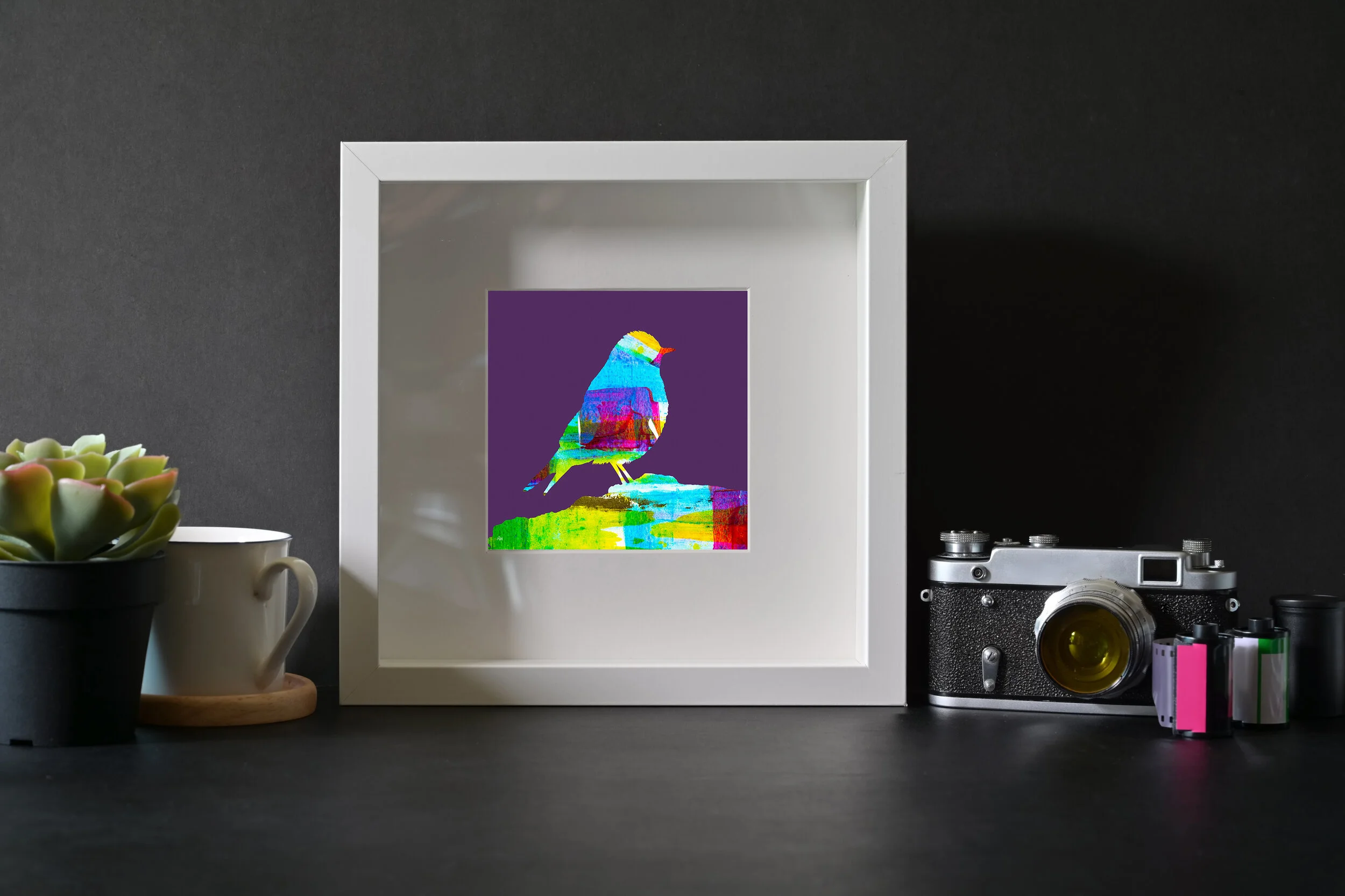 bluejay-boxprint.jpg