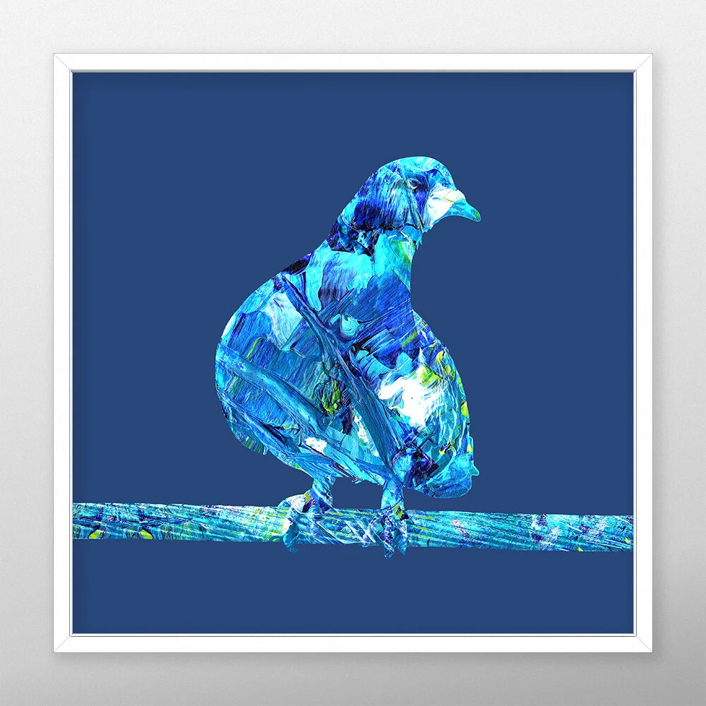 pigeon-canvas-square.jpg