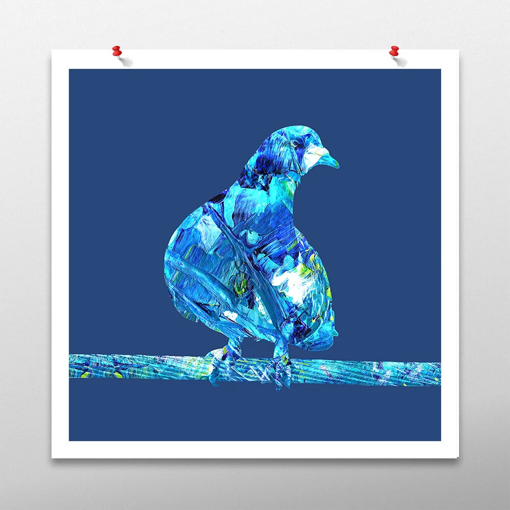 pigeon-square.jpg