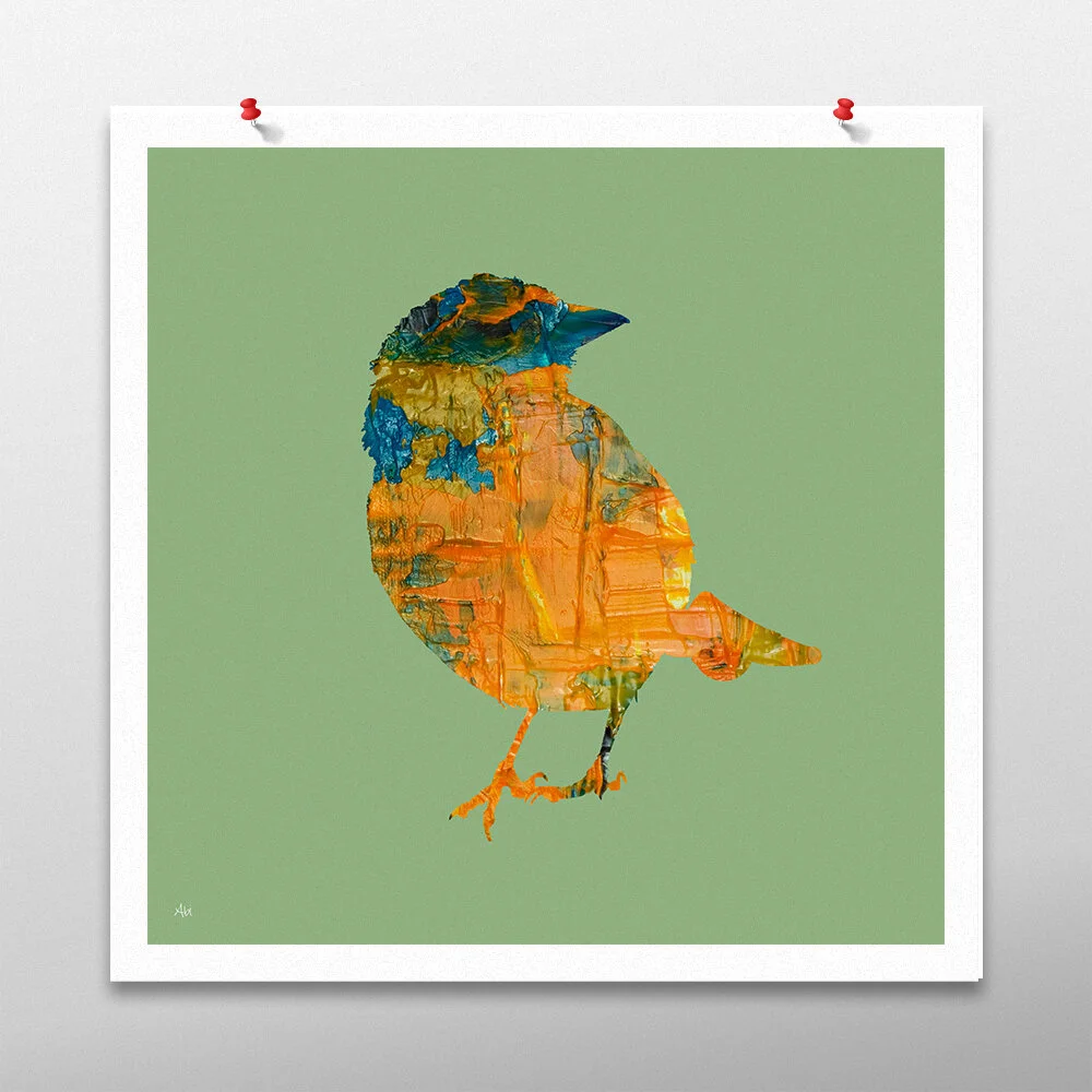 chaffinch-square.jpg