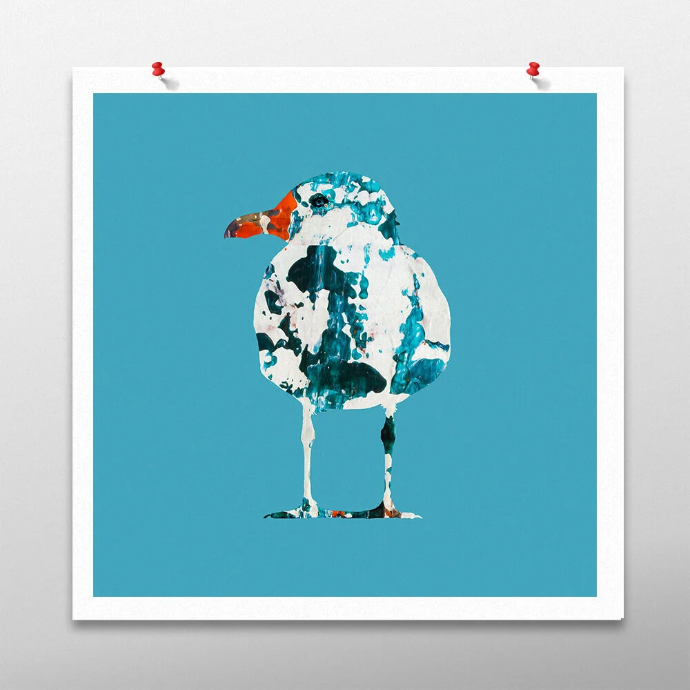 square-seagul.jpg