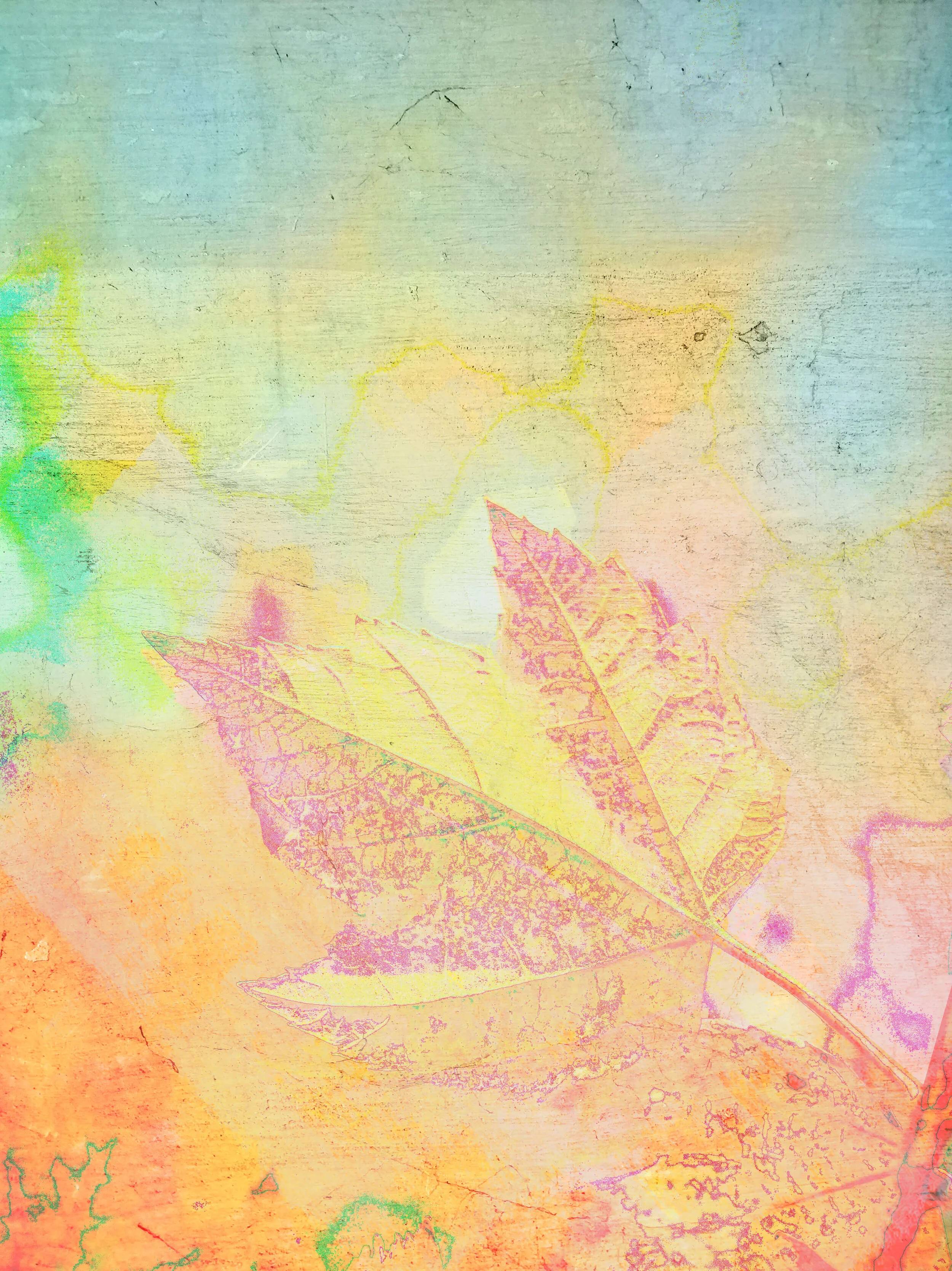 leaf-unsplash.jpg