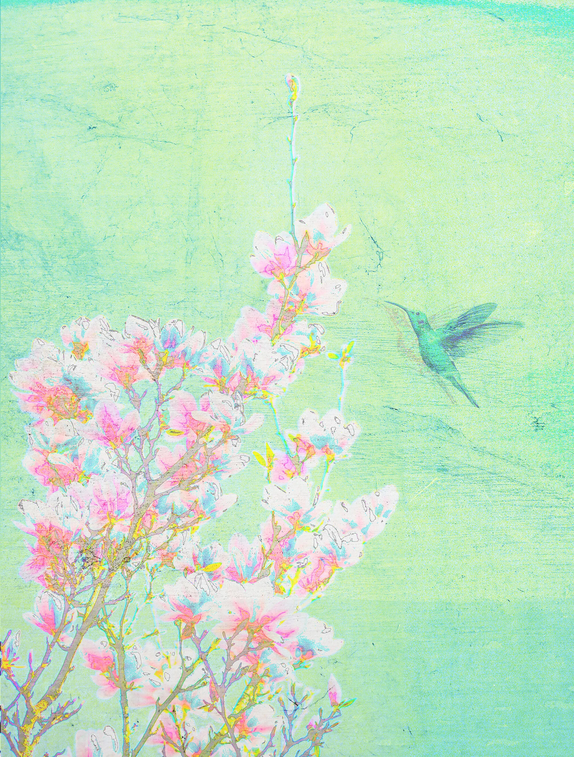 Green Cherry Blossom Humming Bird Art Print for Sale