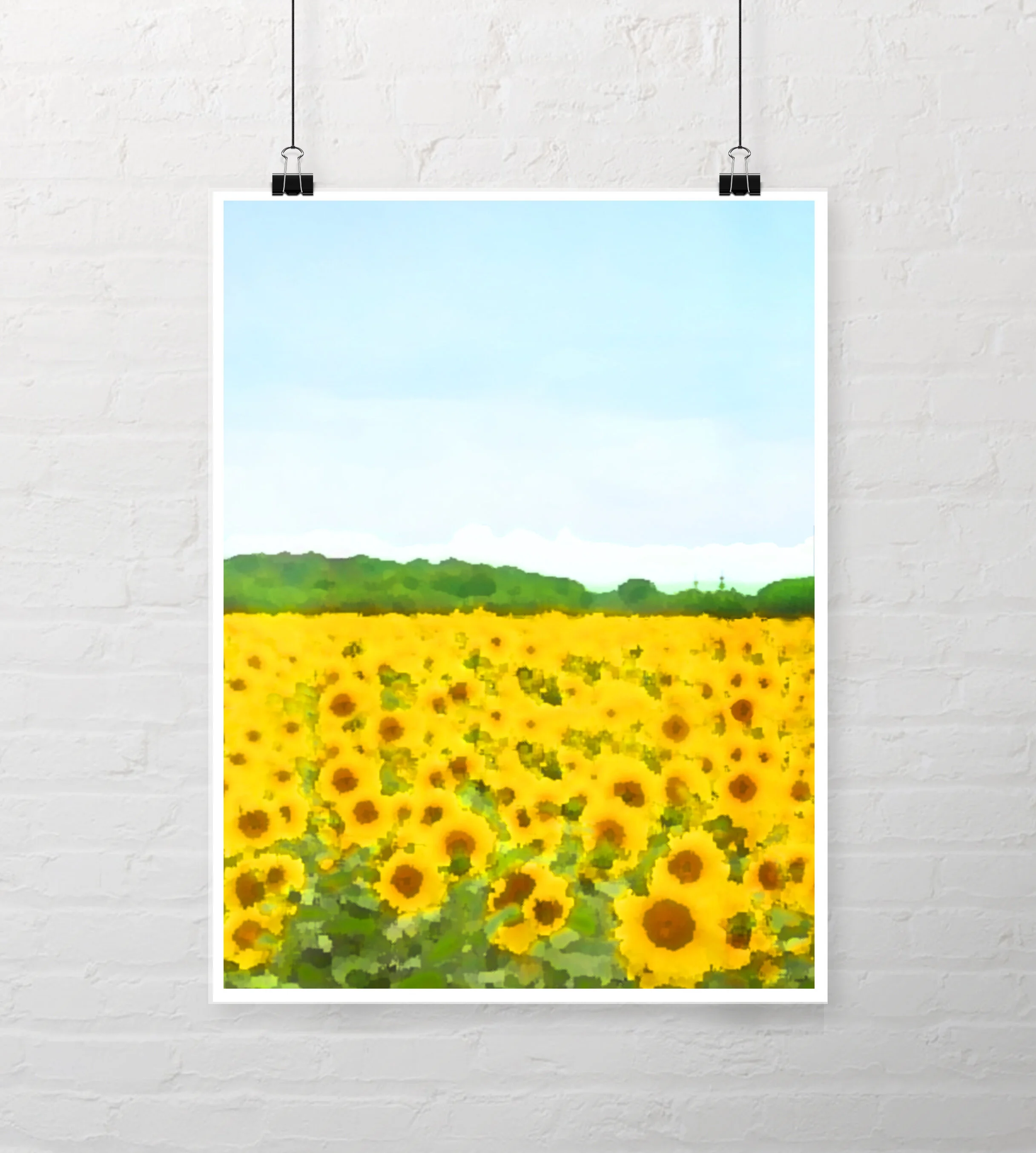 sunflower-uframed.jpg