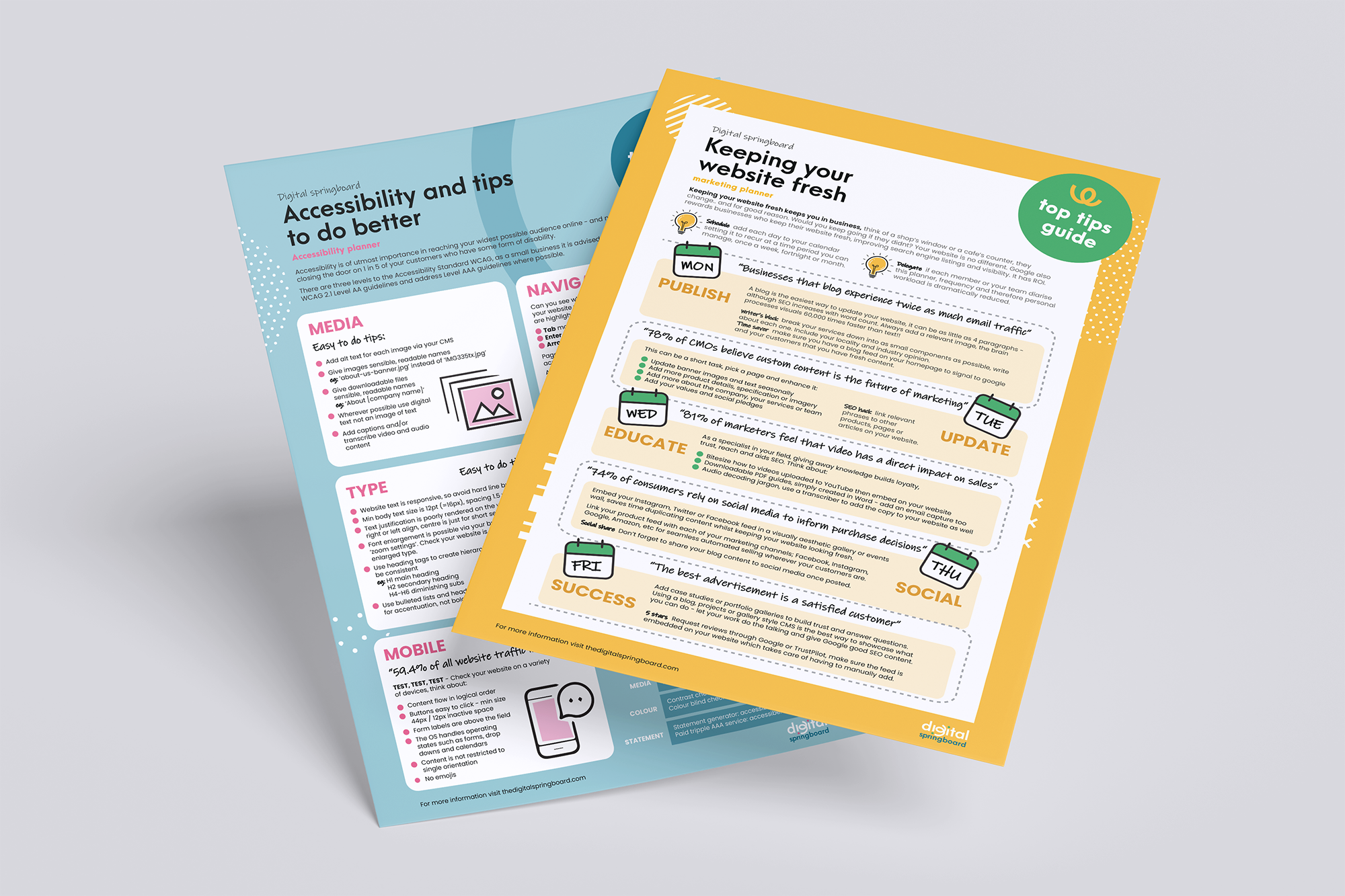 digital springboard infographics.png