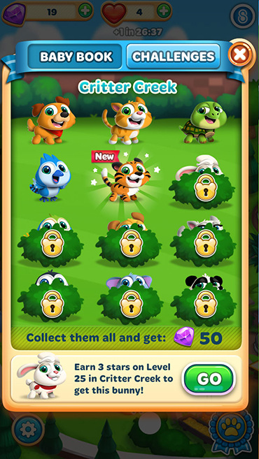collections_final_370.jpg