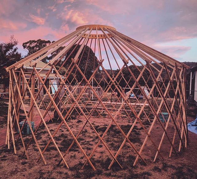 5m yurt framework coming along nicely... 👌
#getdownandyurty #yurt
#tasmania