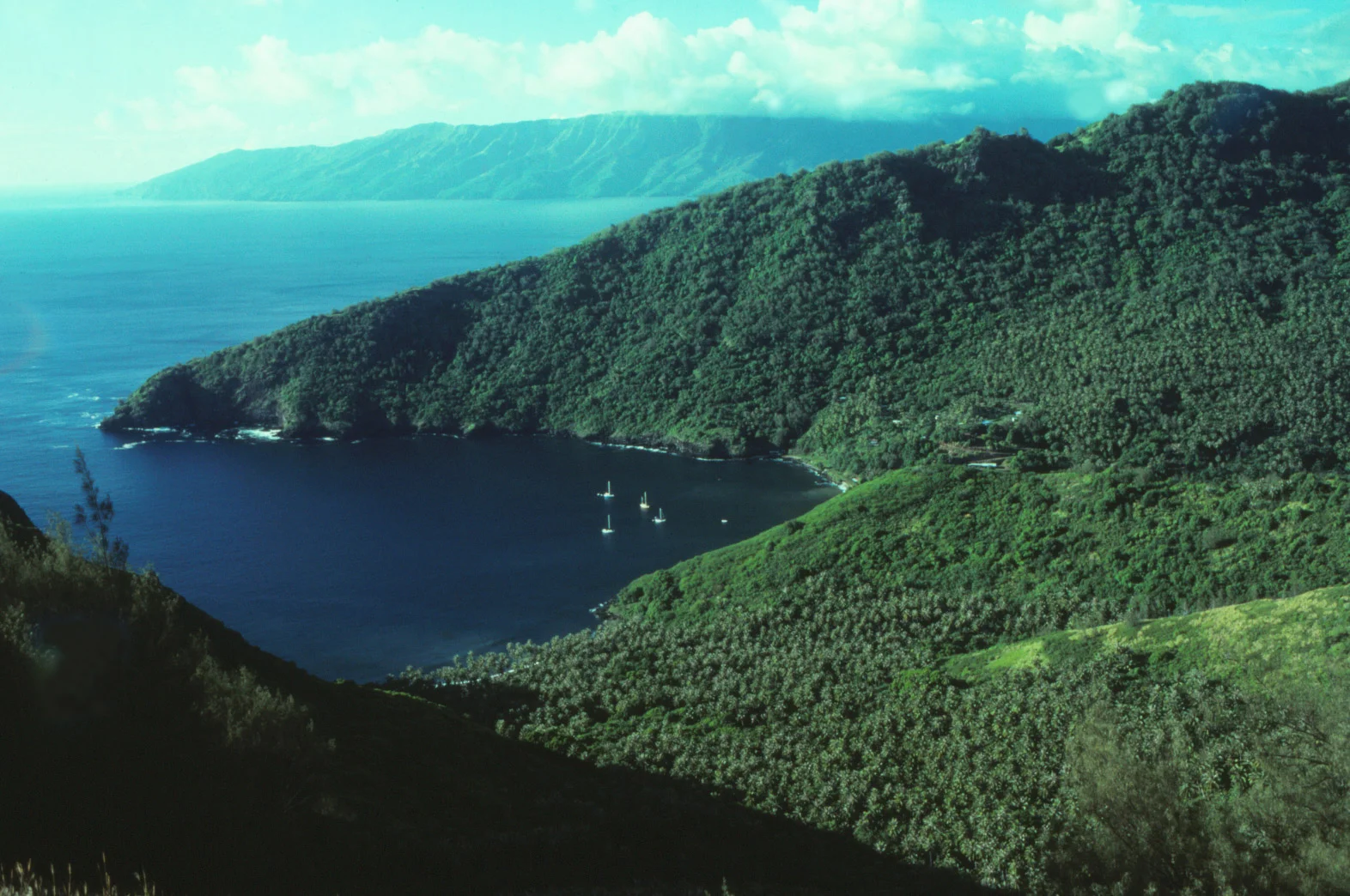 Tahuata, in the Marquesas Islands, is the location of our ongoing project.