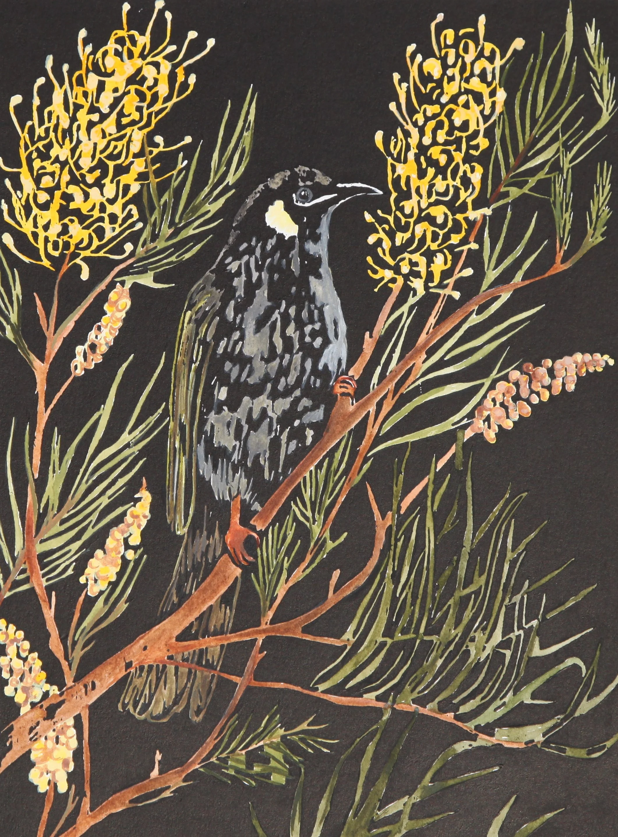 "Lewin Honey Eater in Grevillea"  2014