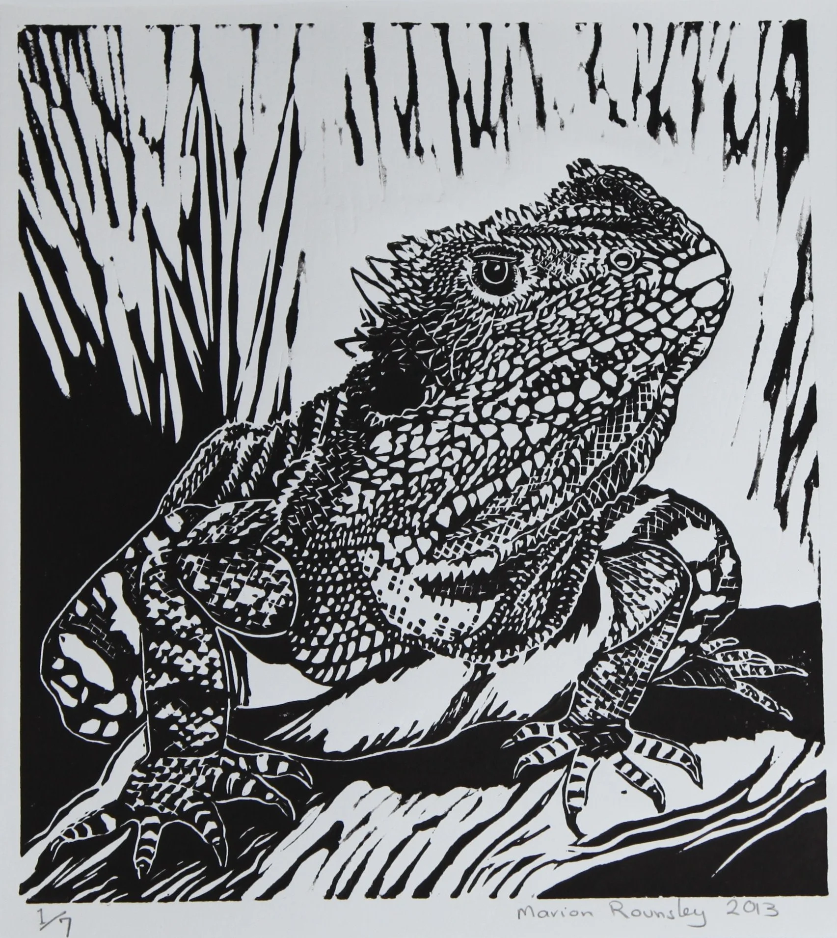 "Water Dragon"  2014