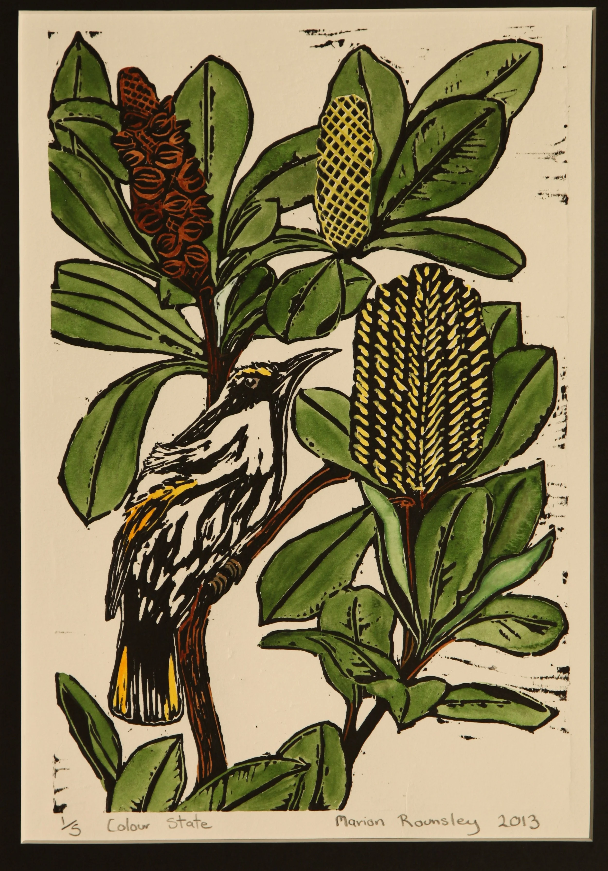 "White Cheeked Honey Eater in Coast Banksia" 2014