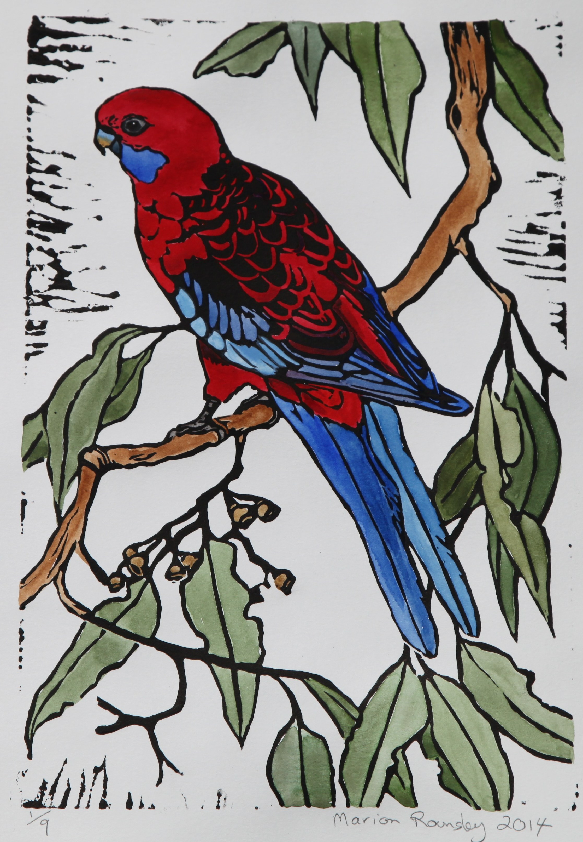 "Crimson Rosella in Gum" 2014
