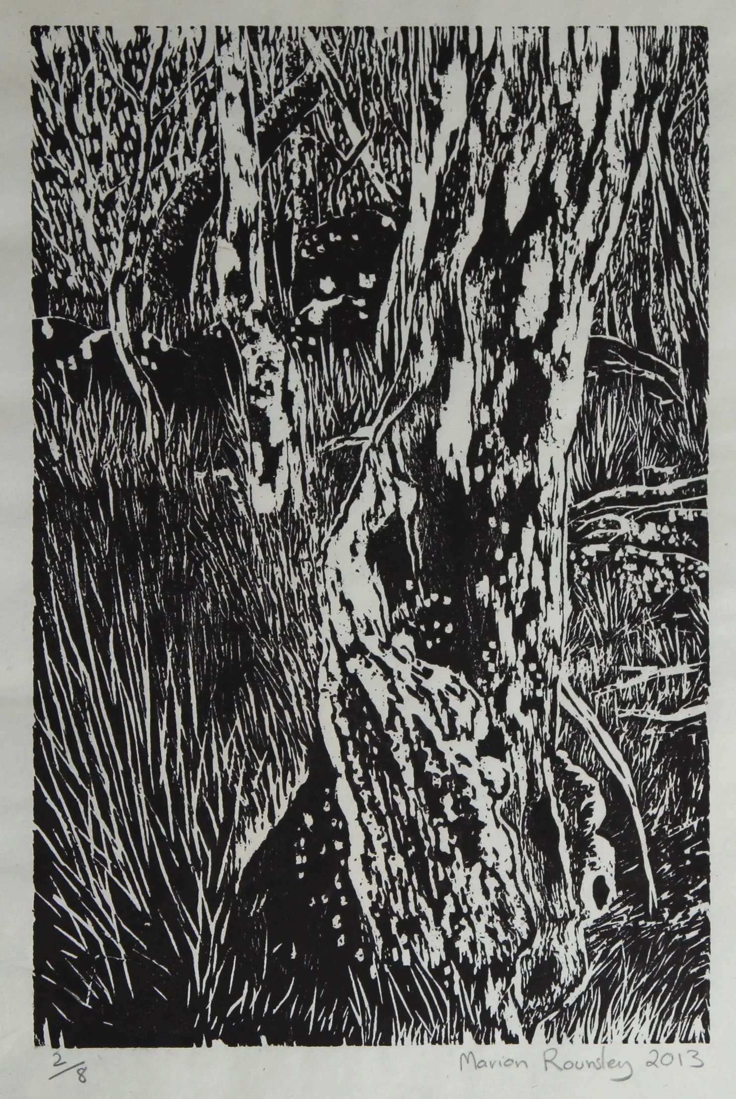 "Near Crows Gate, Barrington Tops" 2013